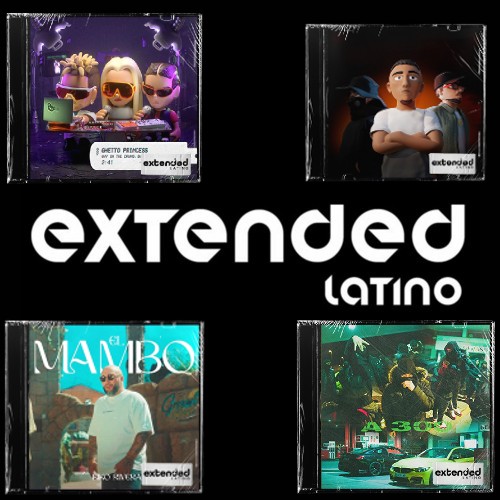 No Estuviste En Lo Malo Remix (Extended Latino)